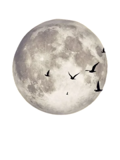 depositphotos_213405450-stock-photo-night-cloud-sky-moon-stars-Photoroom-Photoroom